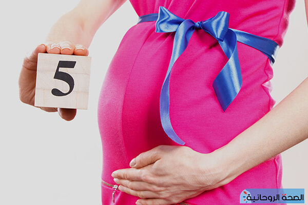 نصائح الشهر الخامس في الحمل 